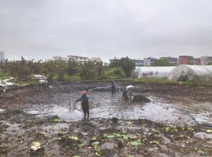 容城河道鱼塘清淤